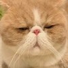 小さな幸せの拾い方