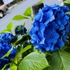 梅雨とネットとひとりの独り言