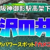 霊泉・沢の井｜関西ハイキング（神戸市東灘区）