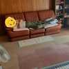 猛暑に急いでエアコン掃除💦