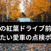 秋の紅葉ドライブ前に確認したい愛車の点検ポイント