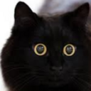 in-engineerブログ