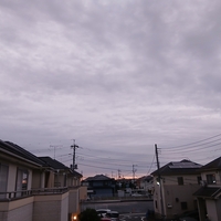昨日は良い日でした　