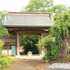 神宮寺の枝垂れ桜　（葉桜）・・