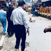 インドで起こった、最悪な事態を暴露