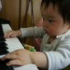 little pianist