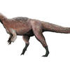 １トンの｢羽毛｣恐竜？