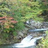 照葉峡の紅葉