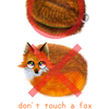 don't touch a Fox