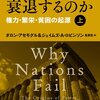 『国家はなぜ衰退するのか』十分に中央集権化され、かつ多元的な制度に欠けるからだ