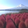 富士山と紅葉　大石公園