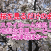 【桜を見るだけの会】ステイホーム対応！在宅型お花見ムービー！～河津桜ほか～