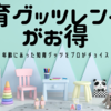 知育グッツのサブスク　おもちゃレンタルでせっかく選んだおもちゃポイがなくなる