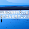 鹿児島の潮干狩り穴場？アサリが採れる秘密のスポット