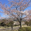 春の土曜日なのにお留守番のライチ