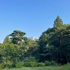夕方ウォーキング！