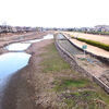 認知機能検査と水辺の風景