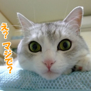 こだわりマイウェイ
