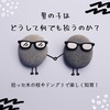 男の子はどうして何でも拾いたがるのか？～拾った木の枝やドングリで楽しく知育！～