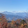 まだまだ紅葉の高尾山