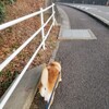 我が家で初の金沢旅行です。