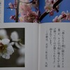 「佐久の季節便り」、「耐雪麗梅花…」、佐久も「ウメ（梅）」が開花しました。