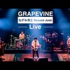 今日の動画。 - GRAPEVINE - ねずみ浄土 (Live at Zepp DiverCity 2021.07.08)