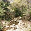 西宮市北山緑化植物園