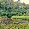 袴池（新潟県妙高）