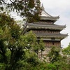 大給松平家～西尾藩～