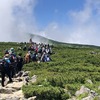 【白馬岳④】百花繚乱ふたたび！大人気の白馬岳～登山道は人が数珠つなぎ（頂上宿舎→山頂→栂池登山口）