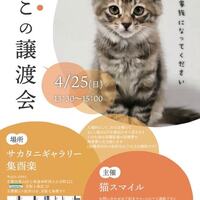 midori0ya0yaのWEBマンガ・写真ブログ