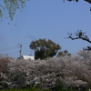 水月公園