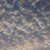 夕暮れ景色～その94『日没間際の鱗雲』