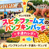 アメリカ・Spina Farms Pumpkin Patch｜料金・駐車場・アトラクションを3歳子連れで徹底レポ