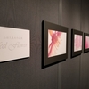 【写真展】マクロな花の世界にふんわりと感じる【山田久美夫写真展：feel Flower】