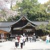 白笹稲荷神社と出雲大社相模分祠に桜を見ながらお詣りに