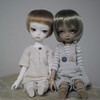 iMda 3.0 Modigli 購入記録