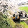 挿頭丘駅で出会ったことちゃんひやく号と桜