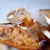 【市場食堂】で食べる朝食「鯖の塩焼き」が美味かった！