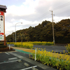 指宿は１月で菜の花が満開。備忘録：こころの宿