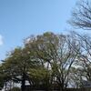 一難去ってまた一難・・・（笑）