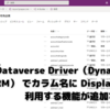 CData Dataverse Driver（Dynamics 365 CRM） でカラム名に DisplayName を利用する機能が追加されました