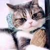 (〃ω〃) ニヤける預金通帳