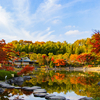 国営昭和記念公園に紅葉を見に行ってきた！写真まとめ