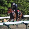 日刊競馬POGの指名馬10頭はこの馬だ！