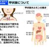 ★妊活中の甲状腺機能低下症