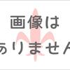 時間式信号機遷移中突入対応版
