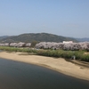 京都府八幡市「背割堤さくらまつり」