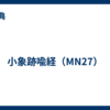 小象跡喩経（MN27）